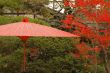 Red Japanese umbrella
