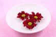 floating spring flowers