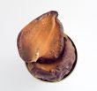 Two parts from a seed of an avocado