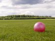 Green lawn
