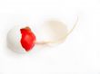 Fruit of a garden radish