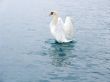 Sea bathing