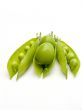 Two fruits plums in a pod of a green peas.