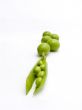 Green peas and fruits green plums