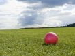 Game in a ball