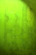 Great for textures and backgrounds