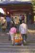 7,5,3 -Shichi-go-san-goind up to the temple