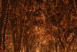 Illumination background