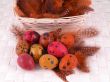 colorful quail eggs