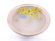 floating spring flowers