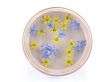 floating spring flowers
