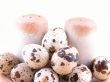 quail eggs