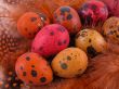 colorful quail eggs
