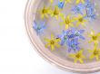 floating spring flowers