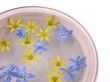 floating spring flowers