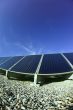 solar panel