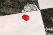 rose petal on marble