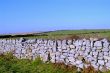 stony wall