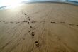 traces in sand