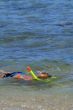 snorkeling in the sea