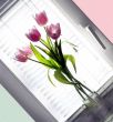 bouquet tulip in glass vase beside window