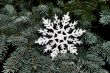 snowflake on fir tree