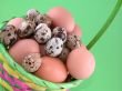 basket full of eggs