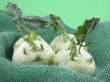 kohlrabi