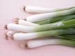 close-ups of young onions