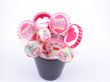 lollipops