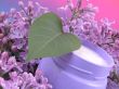 body cream