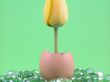 Easter decoration