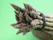 asparagus