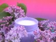 body cream