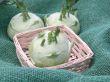 kohlrabi