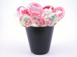 lollipops