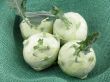 kohlrabi