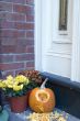 Halloween Pumpkins