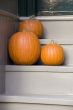 Halloween Pumpkins