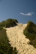 Footpath over the dune