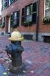 Fire Hydrant