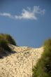 Footpath over the dunes