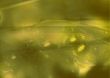 Great for textures and backgrounds