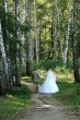 Just Married in spring white birch alley