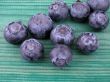 blueberries
