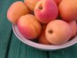 apricots