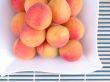 pile of apricots