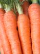 carrots