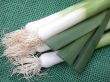 fresh leeks on board