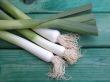 fresh leeks on board